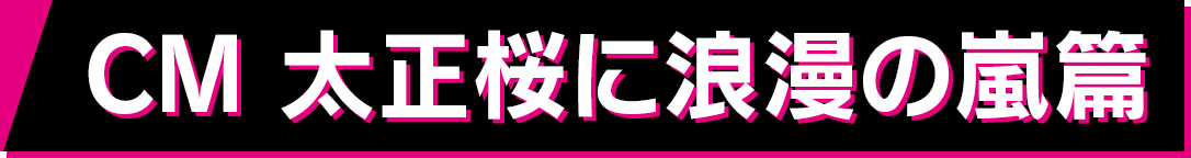 CM 太正桜に浪漫の嵐篇